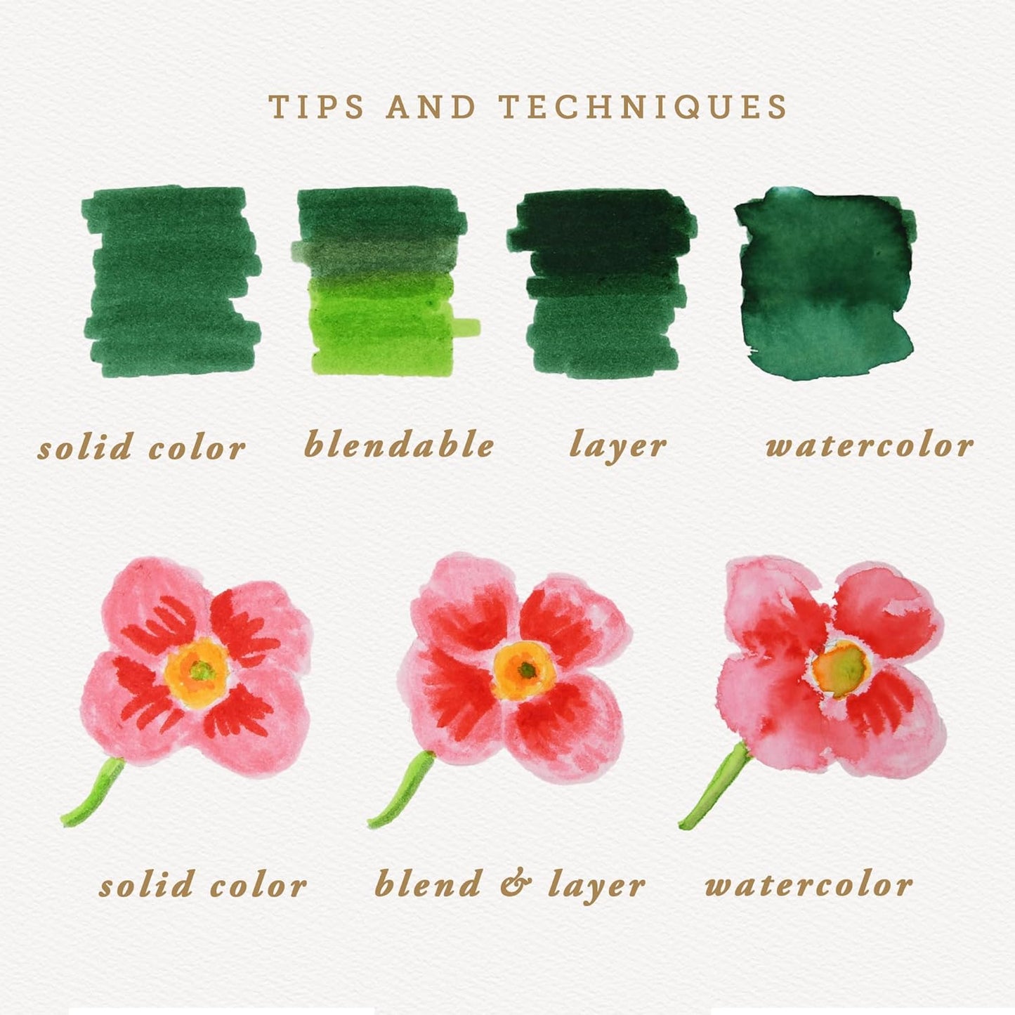 Primrosia 12 Dual Tip Watercolor Marker Pens - Fine Tip & Brush Tips, Professional Quality, 4 x Sticker Sheets, Blendable, Non-Toxic, Perfect for Calligraphy, Drawing & Coloring. (Wildflower)