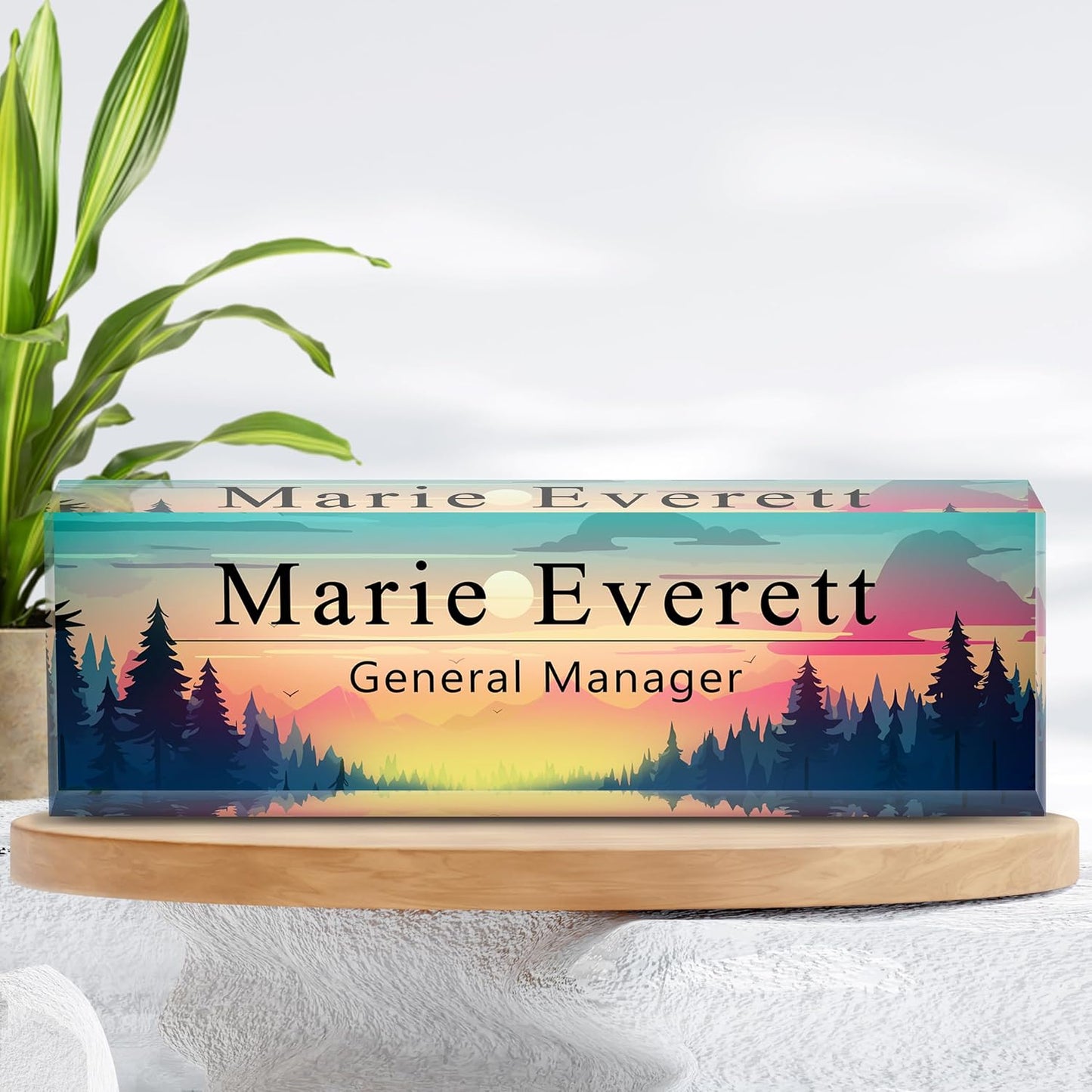 Custom Name Plate for Desk | Personalized Desk Name Plate | Personalized Boss Employee Appreciation Gifts | Acrylic Name Plate Office Desk Accessories