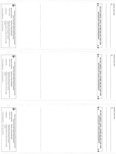 Gold Pinstripe Blank Check Stock - 300 Checks (100 Sheets) for Personal and Business Use - Laser Printable