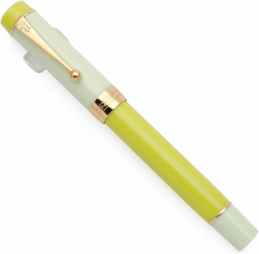 JINHAO 100 Fountain Pen with Ink Converter (Medium Nib 0.7mm, Green Lemon)