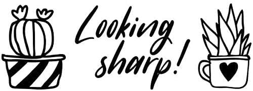 Custom Self-Inking Stamps | 49 Designs | Fun Phrases | Grading Made Easy | Classroom, Library and Book Stamps (Looking Sharp, Xtra Wide)