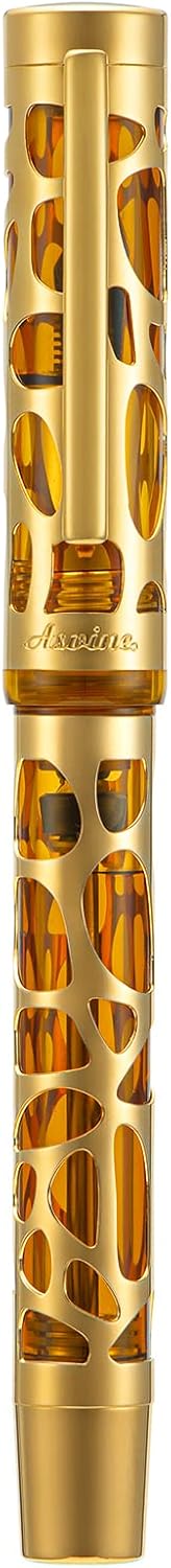 Asvine V169 Vacuum Filling Fountain Pen Iridium Fine Nib, Water Drop Skeleton Gold Trim Transparent Coffee Acrylic Pen Case Set