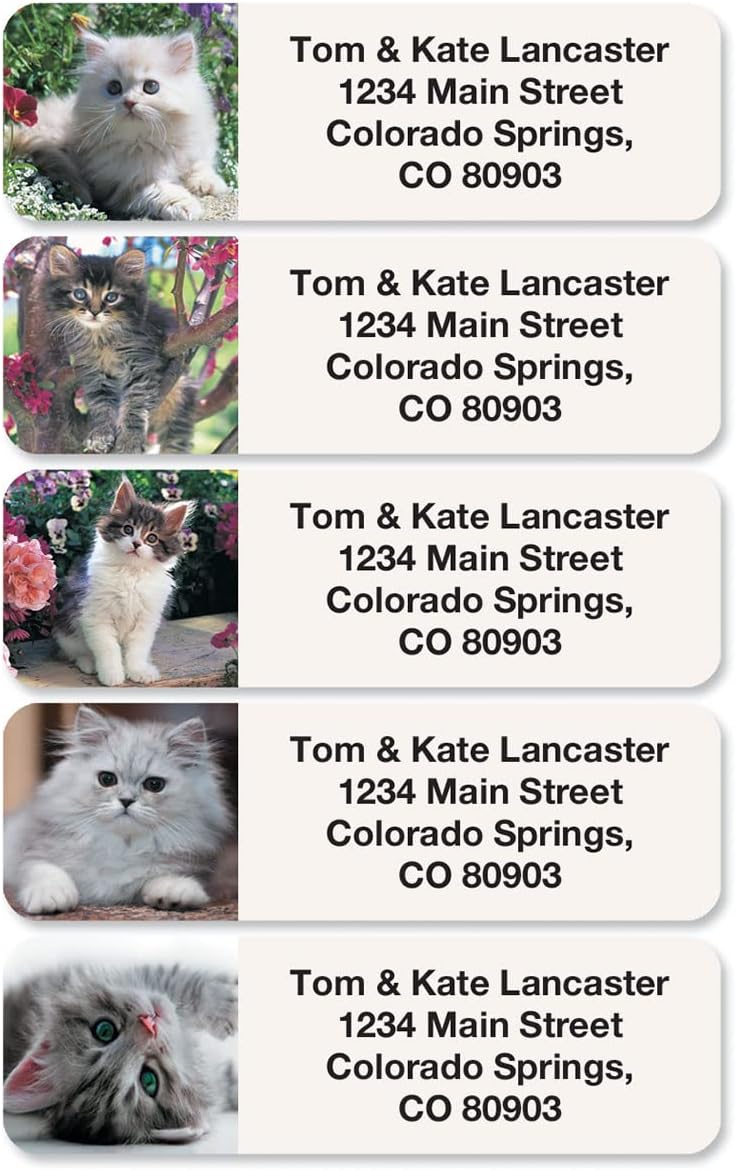 Cute Kittens Rolled Personalized Return Address Mailing Labels with Dispenser, Set of 250, 5 Designs, Small ¾ x 2½ Inch Size, Custom Self-Adhesive Sticker Roll, by Colorful Images