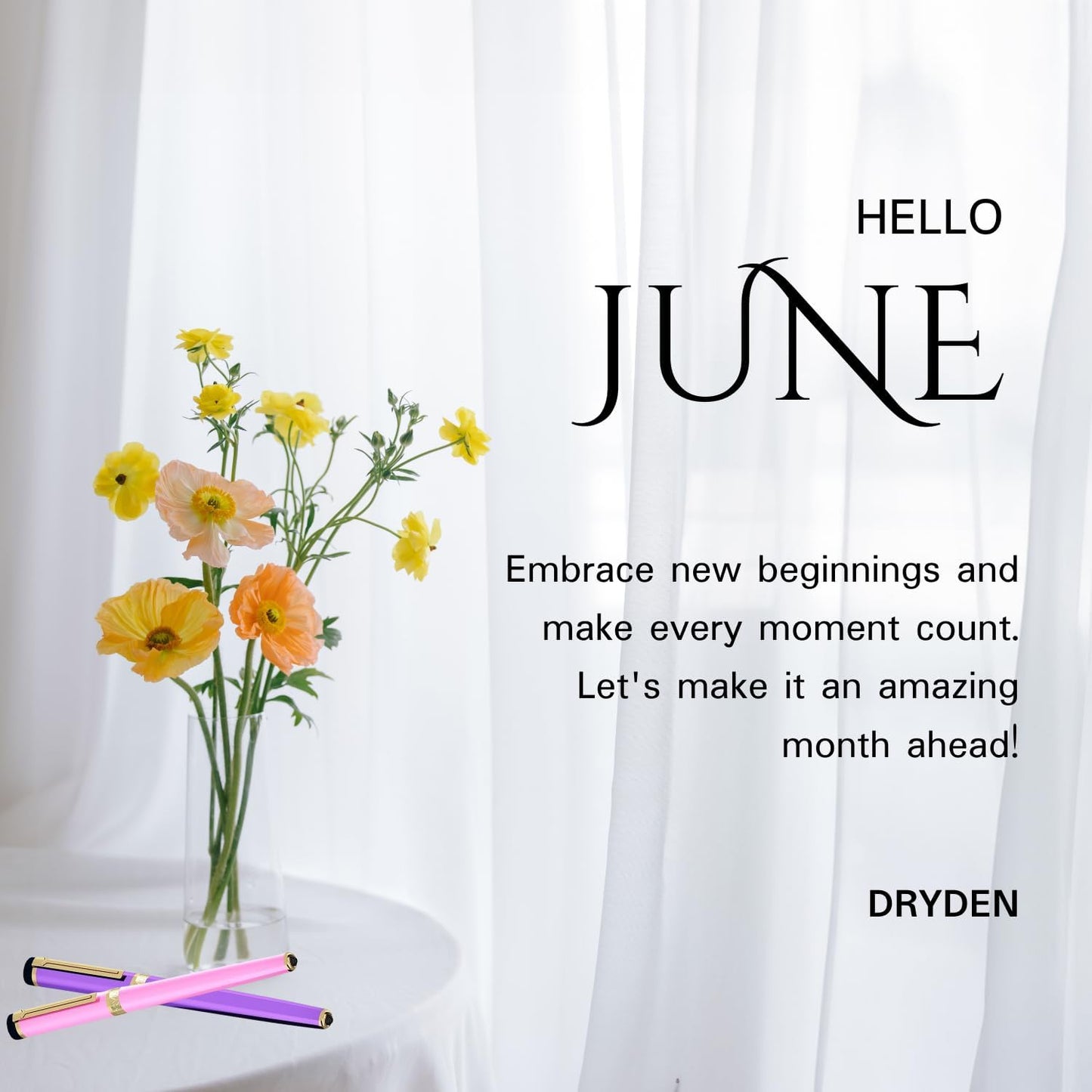 Dryden Designs Fountain Pen Medium Nib Gift Pouch - with 24 Ink Cartridges - MCM (Deep Blue)