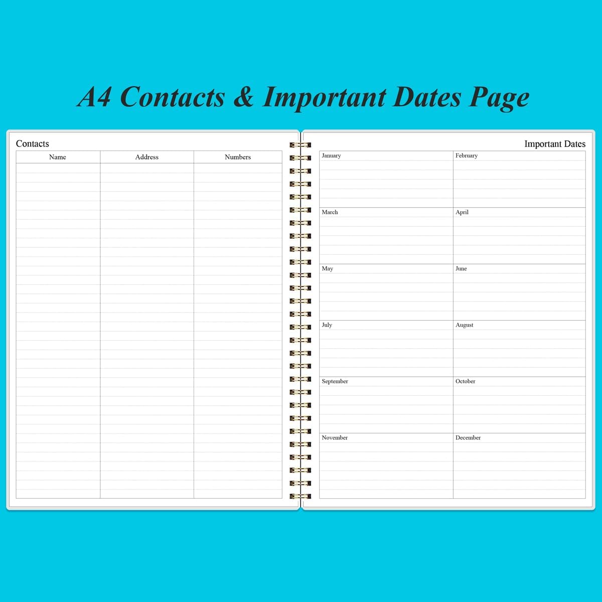 Daily Planner Undated - 8.5" x 11" To Do List Notebook Hourly Schedules, 150 Sheets/300 Pages Spiral Appointment Planner for Women and Men ,PVC Hardcover, Inner Pocket, Elastic Closure, Blue