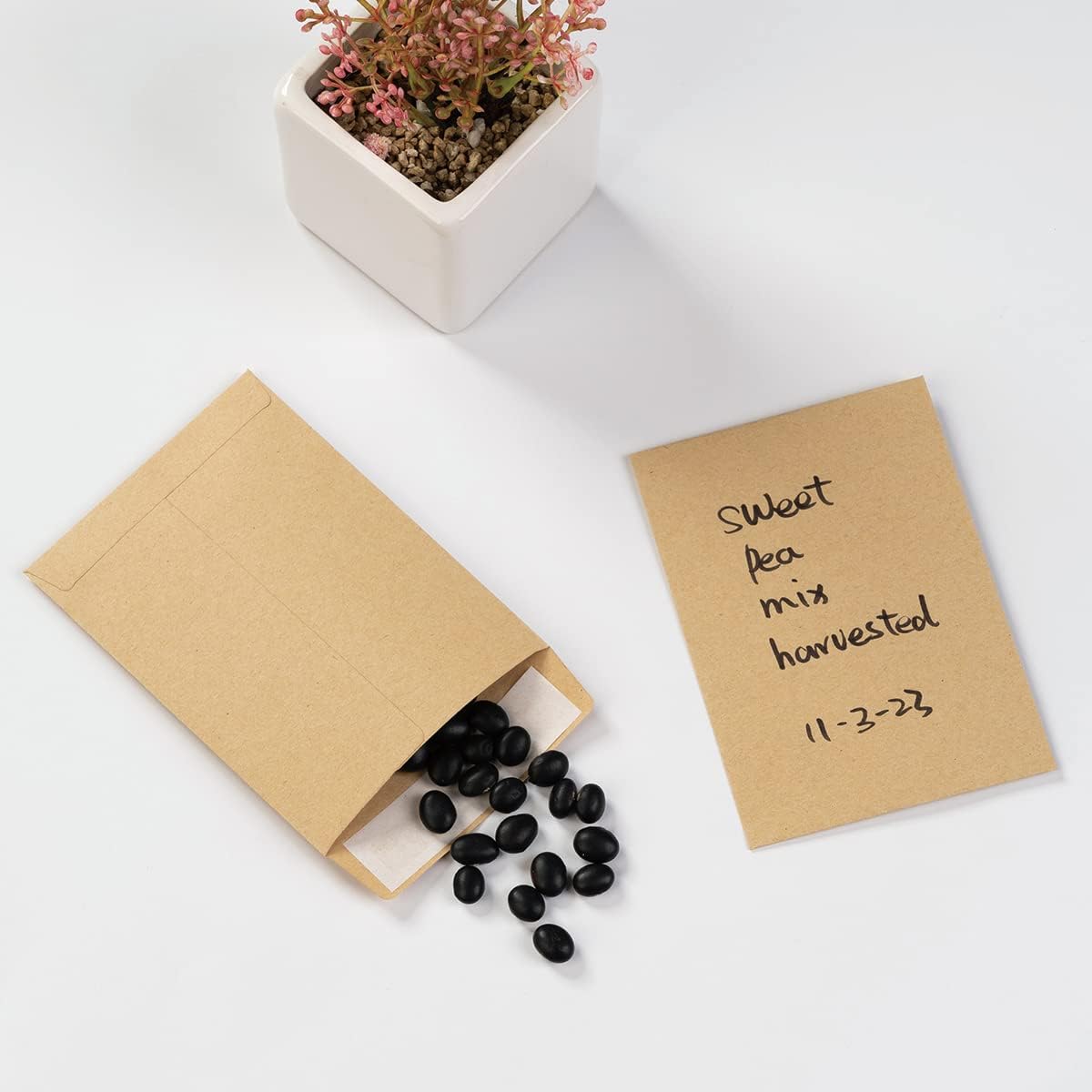 100 Pack Seed Envelopes Self-Adhesive Small Coin Envelopes Seed Storage Packets for Garden, Office or Wedding Gift (Kraft Brown, 3 1/4 ×4 1/2 inches)