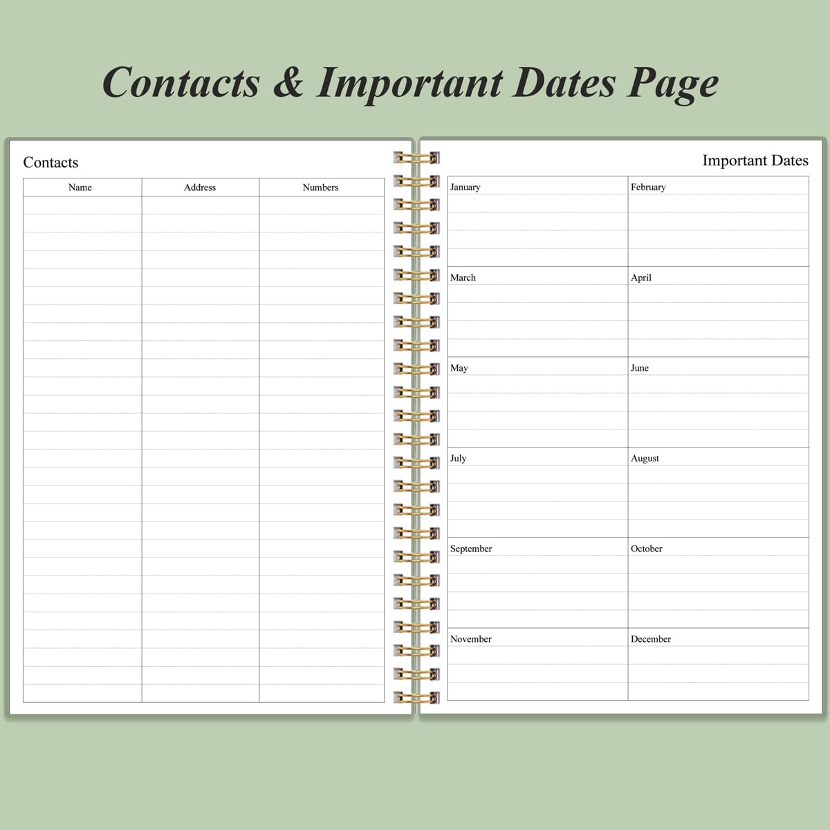 Daily Planner Undated - B5 To Do List Notebook Hourly Schedules, Spiral Appointment Planner for Women and Men, PVC Hardcover, Inner Pocket, Elastic Closure, 7" x 10", Green