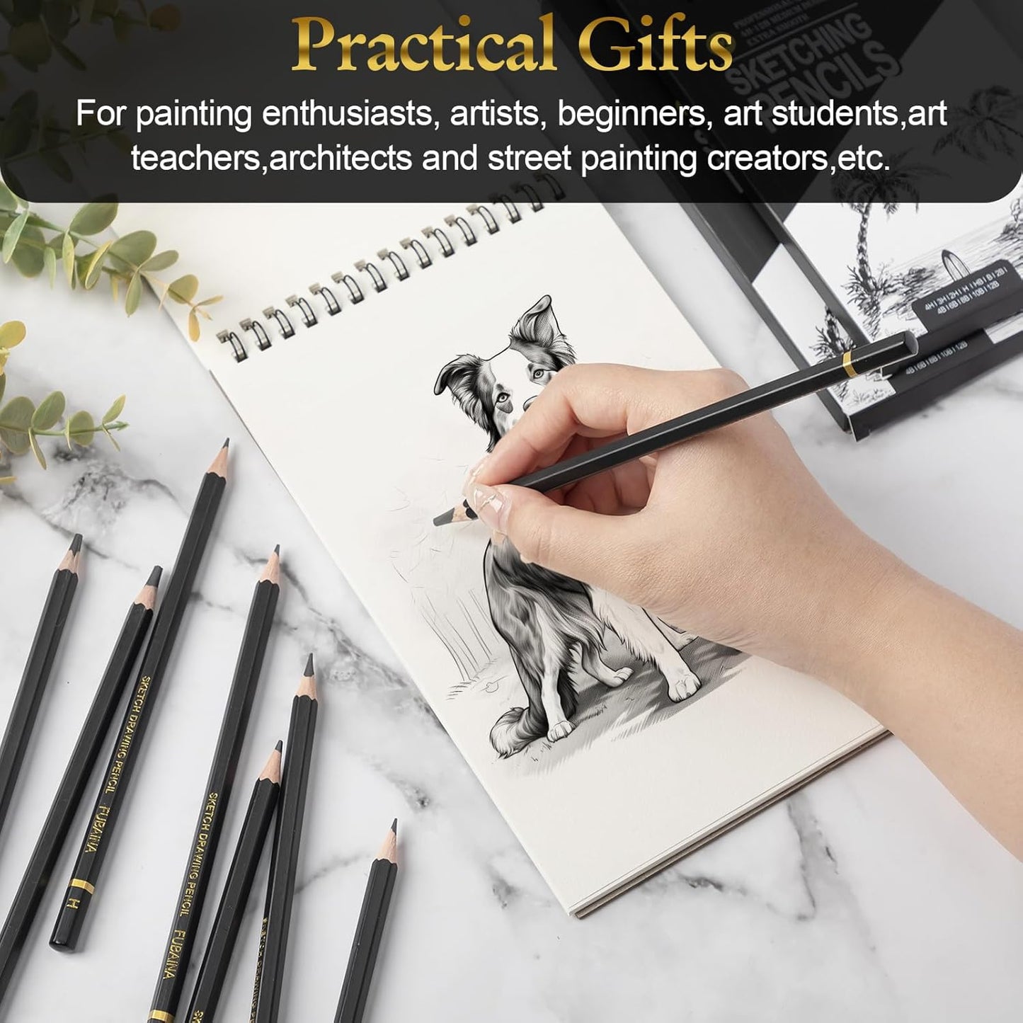 12 Pcs Drawing Sketching Pencil Set Professional (12b - 4h) Graphite Charcoal Gift Bulk for Artists Beginners, Pro Artists, Drawing Art, Sketching