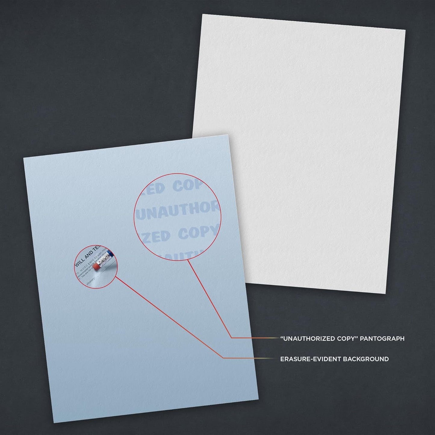 DocuGard Standard Blue Multi-Purpose Security Paper - Fraud Prevention - 2 Security Features - Laser & Inkjet Printer Compatible - 8.5" x 11“ - 24 lb - 500 Sheets (04540)