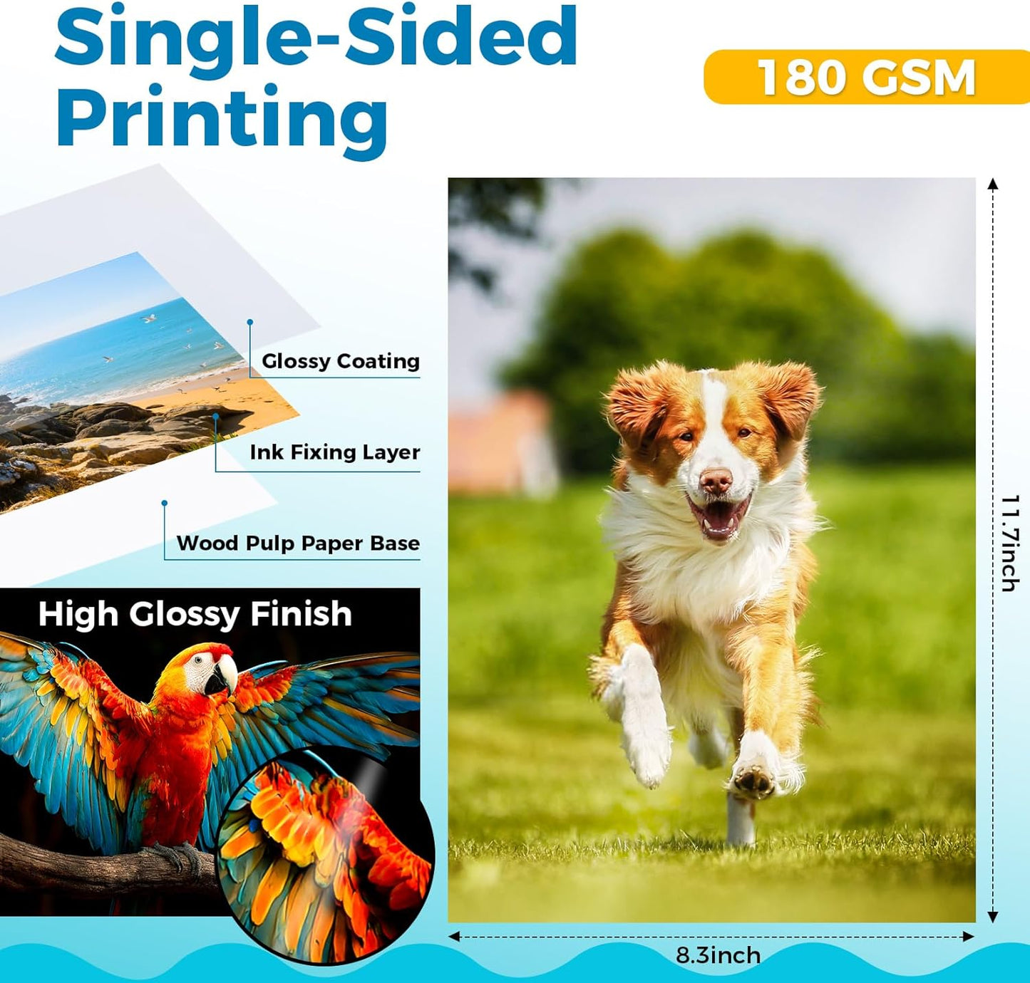 Glossy Photo Paper for Printer - 20 Sheets 8.3 x 11.7 In Inkjet Photo Printer Paper, Instant Dry Single-sided Printing Picture Paper for DIY Picture Wall, Greeting Card, Menu, Brochure, Decors