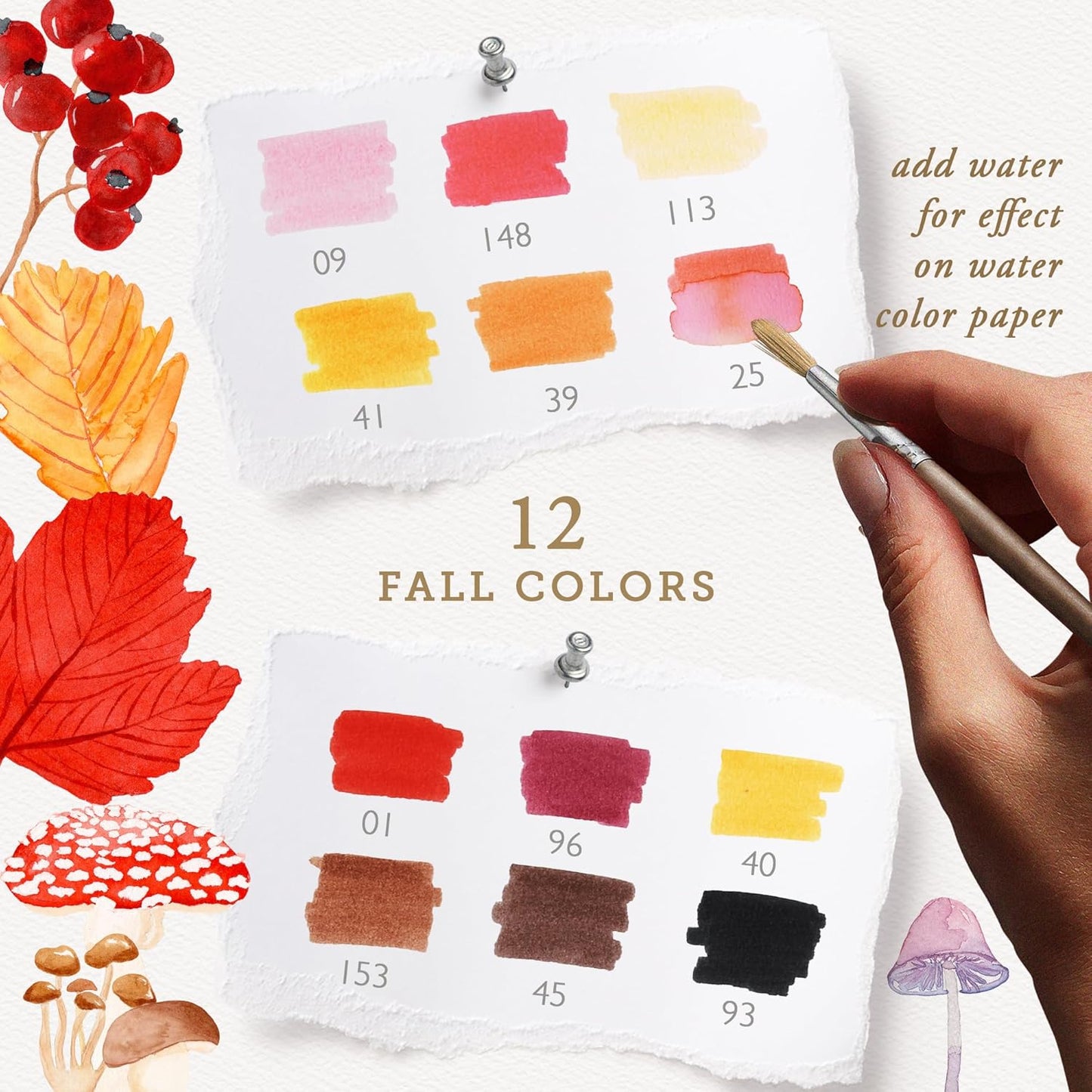 Primrosia 12 Dual Tip Watercolor Marker Pens - Fine Tip & Brush Tips, Professional Quality, 4 x Sticker Sheets, Blendable, Non-Toxic, Perfect for Calligraphy, Drawing & Coloring. (Woodlands)