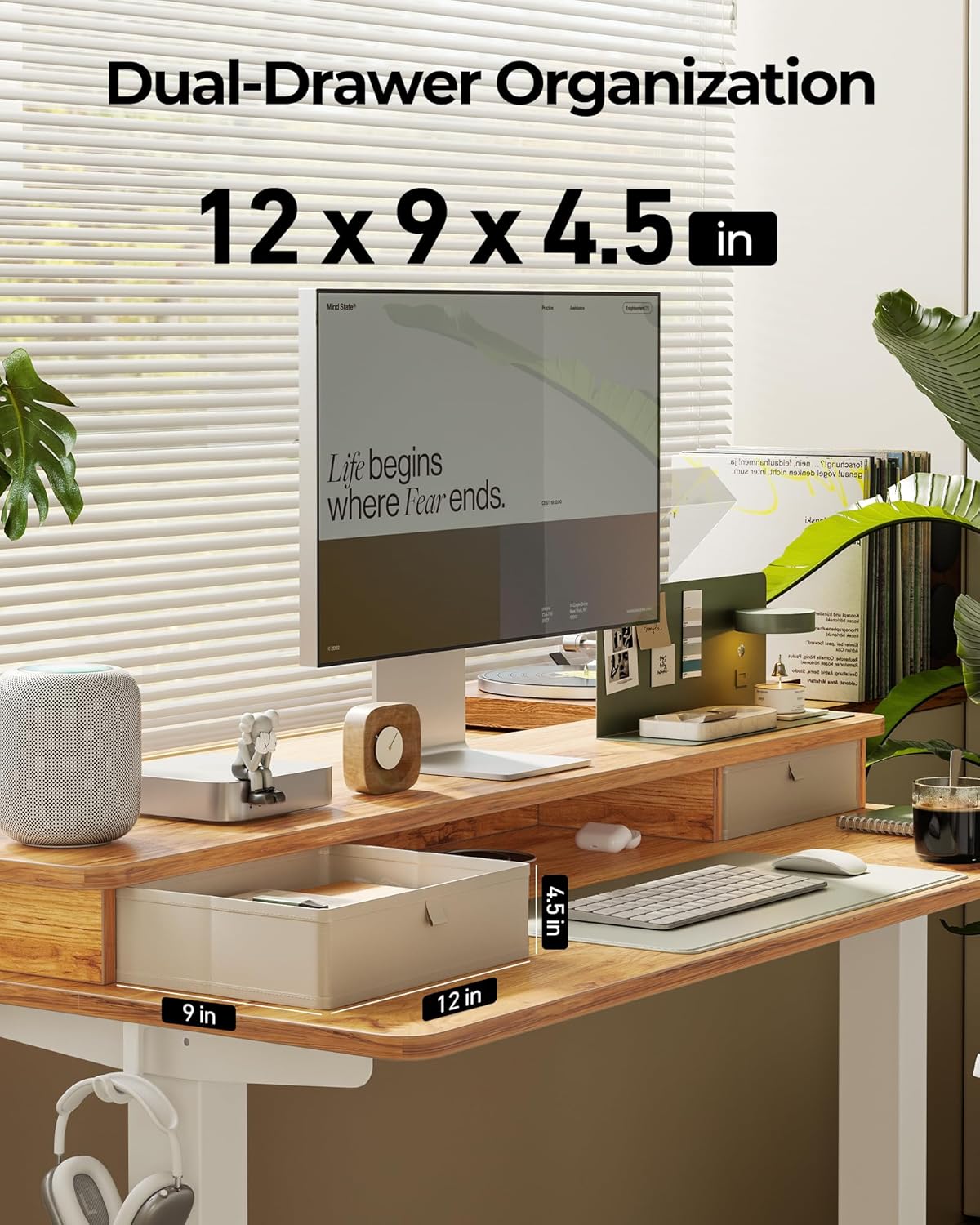 FEZIBO 60 x 24 Inch Height Adjustable Electric Standing Desk with Double Drawer, Computer Desk, Home Office Stand Up Table with 4 Height-Adjustable Feets & 2 Hooks, Light Rustic