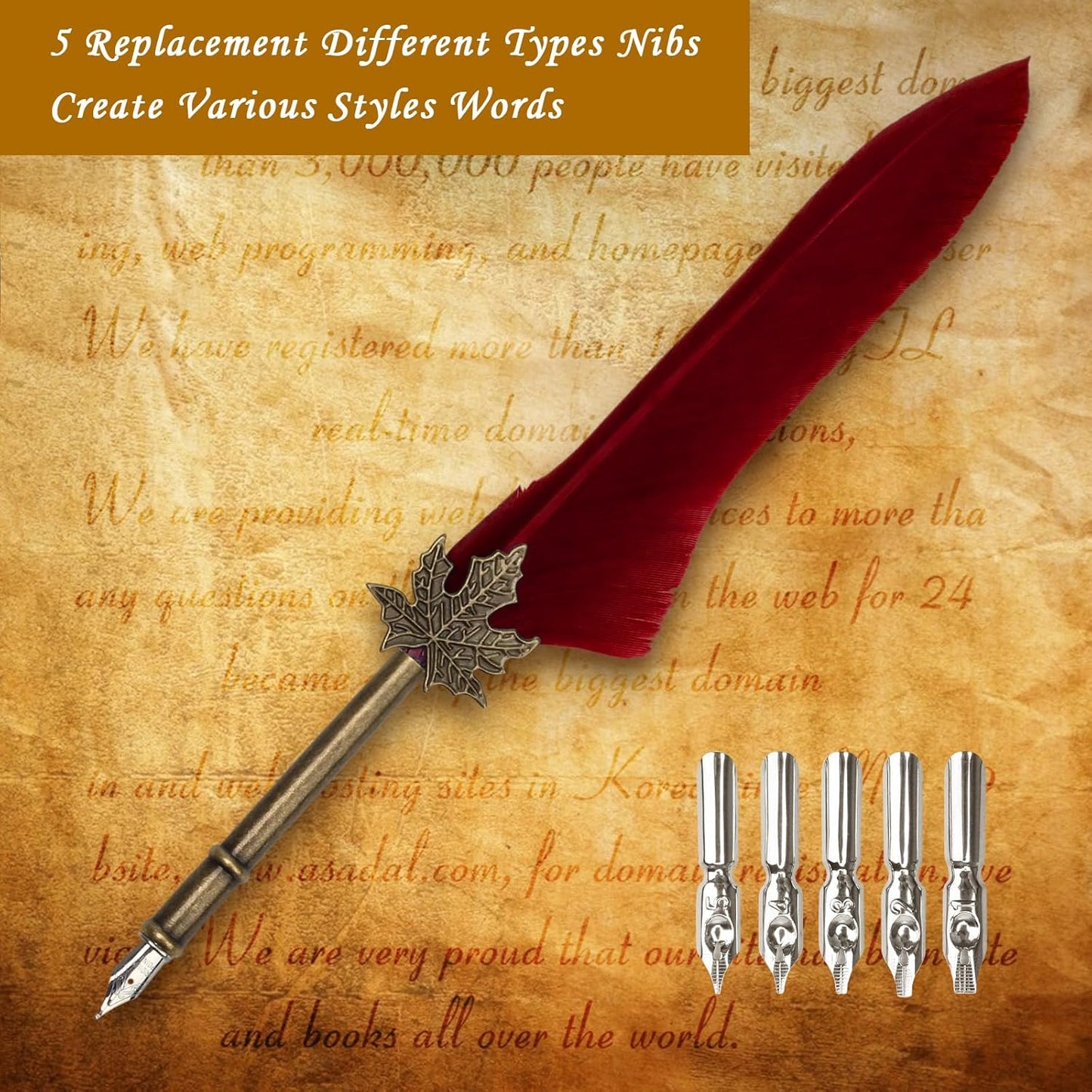 AHIER Quill Pen and Ink Set, Feather Pen Quill Pen Set Includes 5 Steel Replacement Nibs,Pen Nib Base and Dip Ink Bottle for Antique Calligraphy (Red)